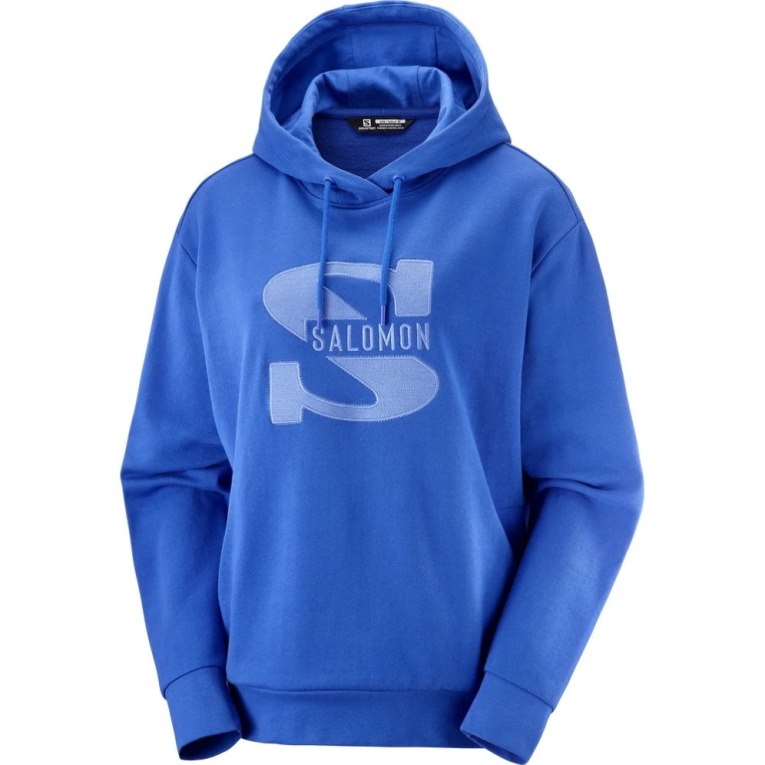 Dámské Mikiny Salomon Outlife Logo Summer Blankyt | CZ 24XHBUJ